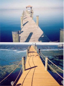 before after of dock